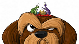 Vlooien- en Tekenbestrijding